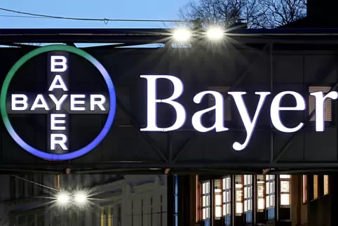 Das Logo des Bayer-Konzerns. 