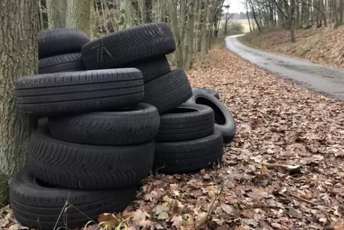 Um den Jahreswechsel haben bislang unbekannte Umweltsünder die Reifen in einem Wald bei Mannweiler-Cölln illegal entsorgt. 
