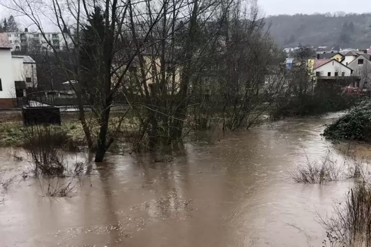 In Rockenhausen hatte die Alsenz ihr Bett verlassen und war in die angrenzenden &Uuml;berflutungswiesen gelaufen. 