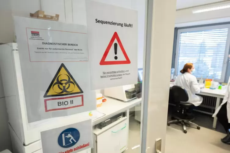 Bei Laboruntersuchungen werden immer mehr Omikron-Infektionen in Deutschland festgestellt.