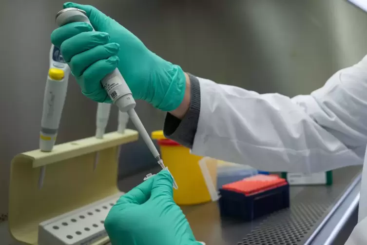 PCR-Tests gelten als „Goldstandard“ unter den Corona-Tests. 