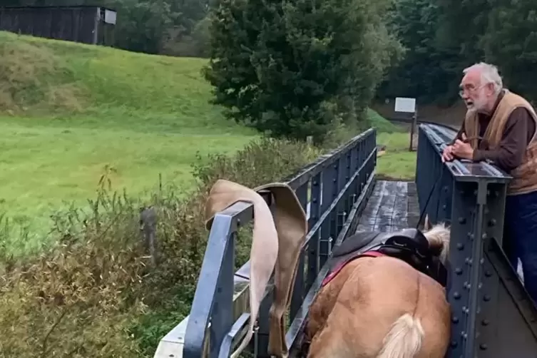 Schwieriger Einsatz f&uuml;r die Wehrm&auml;nner-und Frauen im Oktober in Niedermohr. Sie retteten ein Pferd, dass auf dem &Uuml;berweg &uuml;ber de