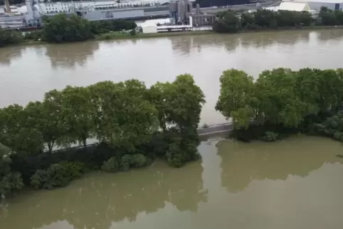In den Rheinauen hat das Hochwasser 2021 gewütet. Hier steht die Straße zu Fähre unter Wasser. 