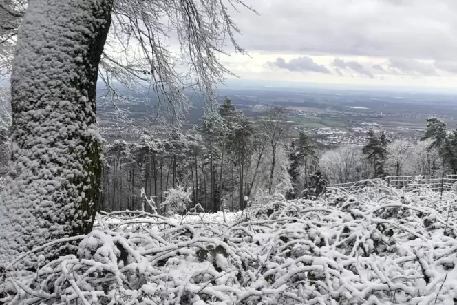 Blick vom in Weiß getauchten Weinbiet auf die grün gebliebene Ebene ...