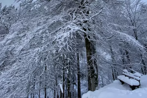 An 19 Tagen des vergangenen Jahres bildete sich in Lagen über 300 Metern eine Schneedecke.