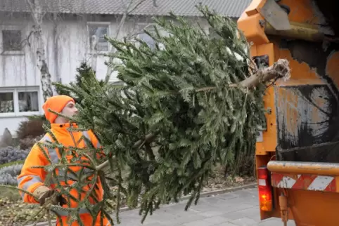 Weg damit: Die Weihnachtsbäume werden vom WBL abgeholt.
