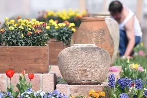 Für eine Bürgerinitiative kein Vorbild: Landesgartenschau 2015 in Landau. 
