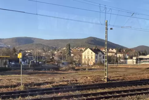 Das Gelände beim Winzinger Knoten wurde kürzlich gerodet, hier fotografiert aus dem Zug.