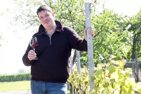 Jürgen Krebs vom Weingut Krebs ins Freinsheim.