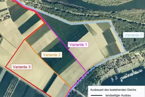 Deichaus- und Neubau bei Otterstadt: Das sind die Varianten zwischen Kollerstraße und Reffenthal. Die Ortsgemeinde und die Landw