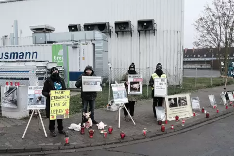 Meist steht die Gruppe sonntags an der Straßenecke mit Plakaten, Kerzen und Schweinchenfiguren.