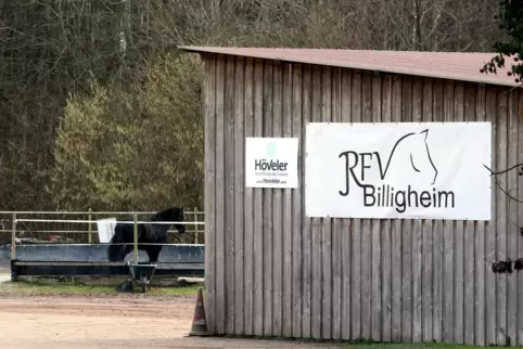 Beim Reit- und Fahrverein Billigheim brodelt es. 