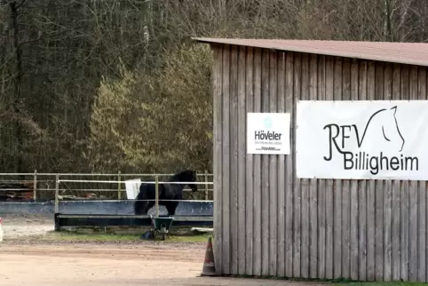 Beim Reit- und Fahrverein Billigheim brodelt es. 