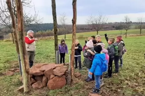 Weselberger Grundschüler legen mit Andreas Schmitt ein Insektenhotel an. Die Sandsteine bilden den Grundstock.