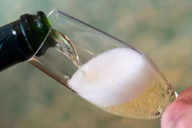 Für einen moderaten Alkoholkonsum sollte die Weinwirtschaft sich einsetzen, wirbt Christine Schneider.
