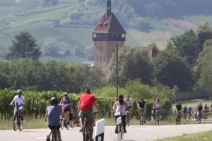 Radler beim Geilweilerhof in Siebeldingen. 