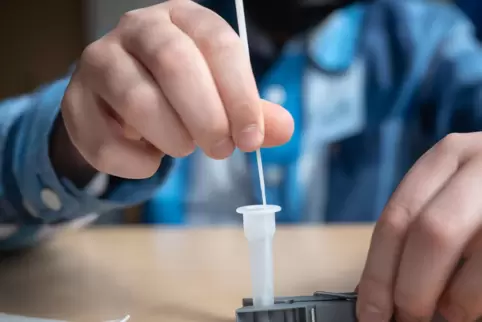 Weil an der Waldorfschule in Bexbach mehr als zwei Schüler pro Klasse positiv auf Corona getestet wurden, hat das Gesundheitsamt
