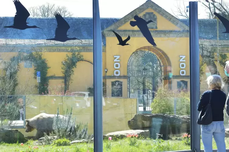 War nach einigen Vogelgrippe-Fällen für mehrere Tage geschlossen: der Heidelberger Zoo. 