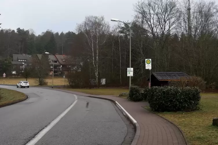 Die Bushaltestellen in Trippstadt wurden am Donnerstagmorgen nicht angefahren. 