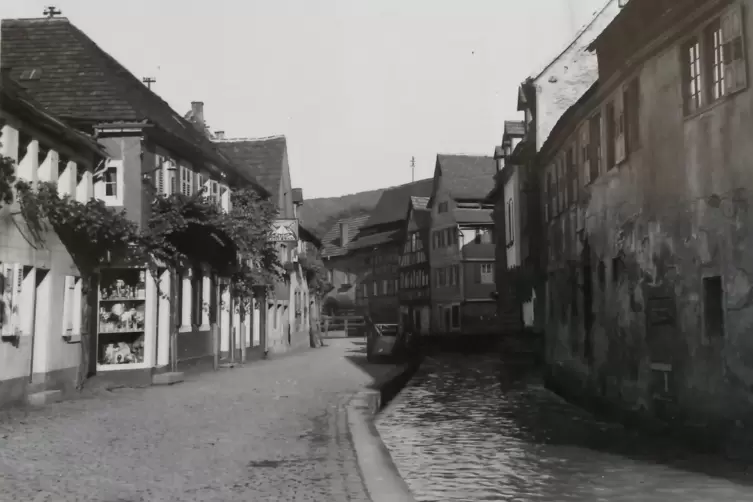 Annweiler und die Queich zu Beginn des 20. Jahrhunderts. 