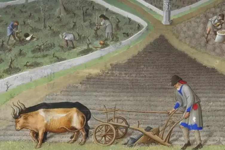 Ackerbau im Mittelalter: Buchmalerei aus dem berühmten Stundenbuch „Les Très Riches Heures du duc de Berry“. Der Räderpflug, des