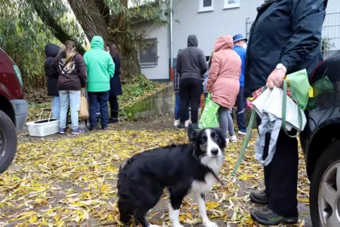Hündin Selly blickt in die Kamera. Ihr Frauchen sagt: „Sie merkt, wenn es mir nicht gut geht. Und tröstet mich.“ 