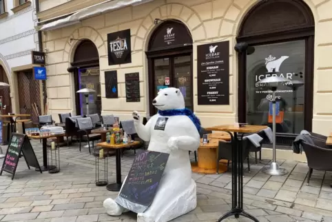Blickfang IIDer Eisbär vor der Bar.