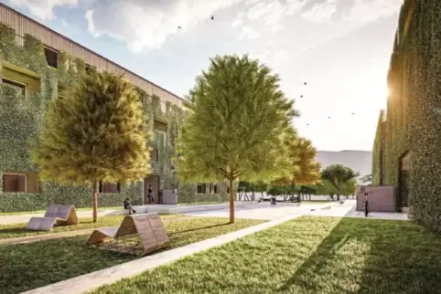 Blick in den Innenhof mit den aus Klimaschutzgründen komplett begrünten Fassaden. 
