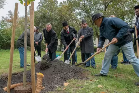 Wo Liebe da Frieden: Deshalb pflanzen Mitglieder der Ahmadiyya-Gemeinde Friedensbäume. Die Aufnahme entstand 2015 in Germersheim