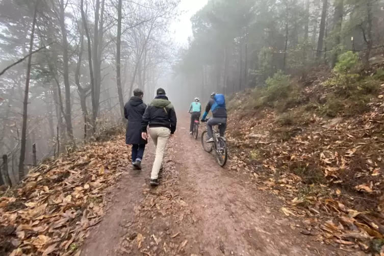 Oft, aber nicht immer teilen sich Wanderer und Mountainbiker die Waege im Wald. 