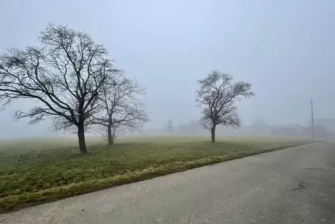 Im Nebel verborgen ist der Bottenbacher Friedhof. Von dort bis zur Landstraße im Vordergrund könnten 29 Bauplätze entstehen.