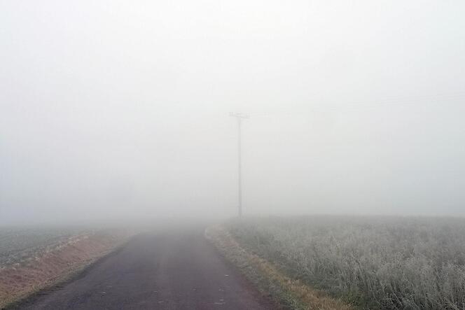 Der dichte Nebel zwischen Rimschweiler und Outlet erschwerte der Polizei am Dienstag die Suche nach dem Vermissten.