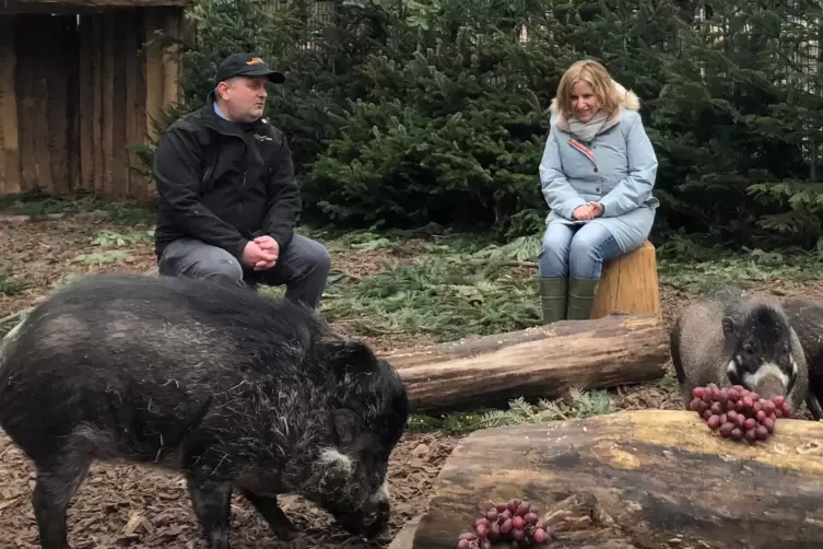 Zoodirektor Jens-Ove Heckel erz&auml;hlt Umweltministerin Katrin Eder Wissenswertes zum Zootier des Jahres 2022. 
