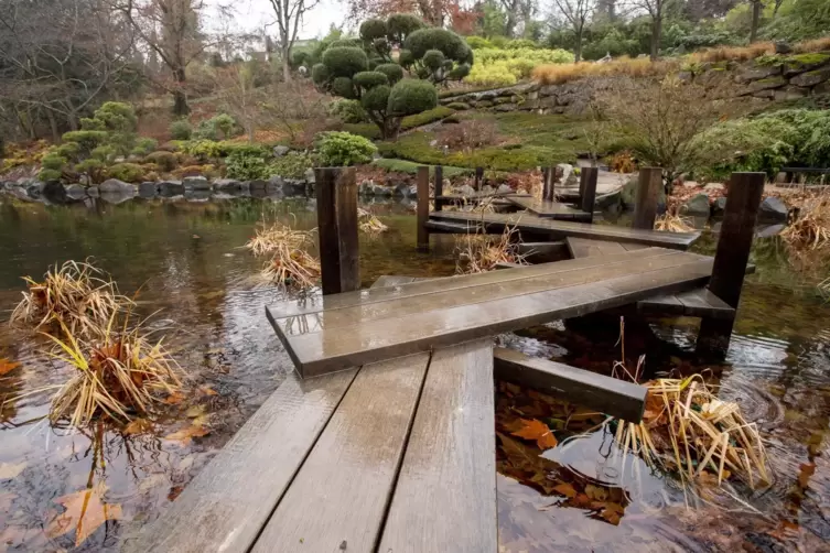Ungewohnt – und dennoch stimmungsvoll: der Japanische Garten am zweiten Adventswochenende.