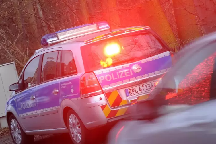 Die Polizei hat in der Germersheimer Straße in Lingenfeld geblitzt. 