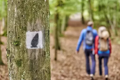 hinkelsteinweg_foto donnersberg-touristi-verband florian trykowski