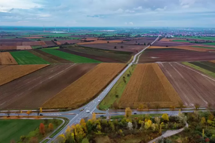 Eine der Unfallstellen: die Vier-Wege-Kreuzung zwischen Mechtersheim, Lingenfeld, Schwegenheim und Heiligenstein.