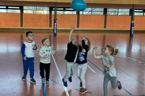 Fangen, toben, ausprobieren: In der Welpenschule wird mit Bällen, Luftballons, aber auch Tüchern spielerisch trainiert.