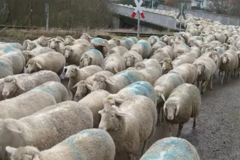 Bei der Grünschnittstelle des Kreises müssen Brücke und Bahnübergang überwunden werden. Die Heimat ist jetzt nicht mehr fern.