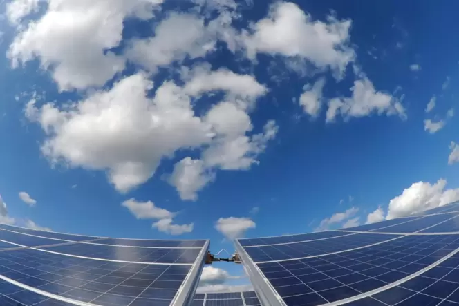 Der Sonne zugeneigt: Einige Firmen haben bereits Interesse bekundet, im Oberen Glantal Freiflächen-Photovoltaikanlagen zu errich