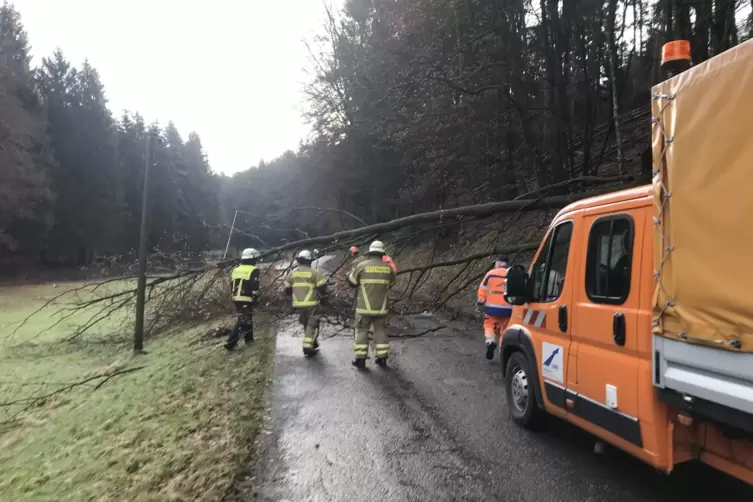 Gleich mehrere Bäume waren auf Straßen gestürzt. Feuerwehr und Straßenmeisterei beseitigten die Hindernisse.