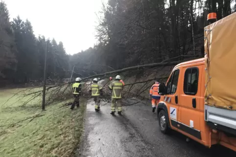 Gleich mehrere Bäume waren auf Straßen gestürzt. Feuerwehr und Straßenmeisterei beseitigten die Hindernisse.