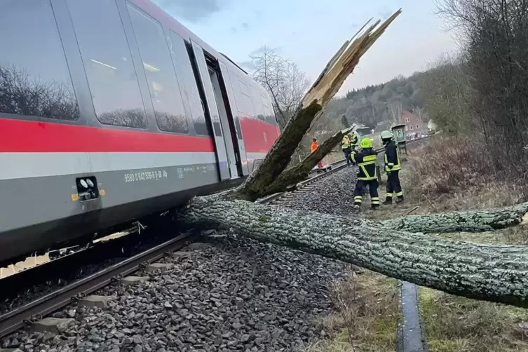 Ein umgestürzter Baum hievte die Regionalbahn neben die Gleise. Zur Bergung muss ein spezieller Kran aus Fulda anreisen.