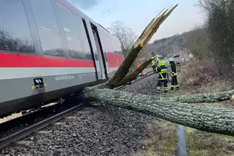 Ein umgestürzter Baum hievte die Regionalbahn neben die Gleise. Zur Bergung muss ein spezieller Kran aus Fulda anreisen.