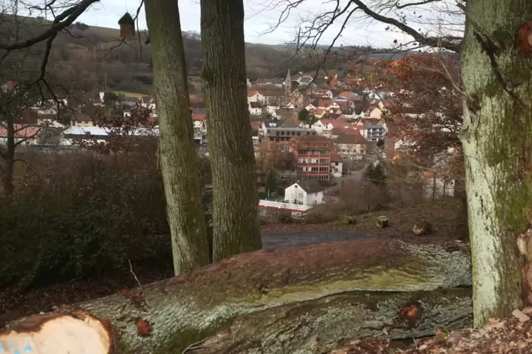 Blick aus dem Wald auf Glan-Münchweiler.
