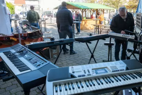 Neben Keyboards sind beim Musikinstrumenten-Flohmarkt in Brücken im Oktober unter anderem auch Akkordeons, Mundharmonikas, Gitar