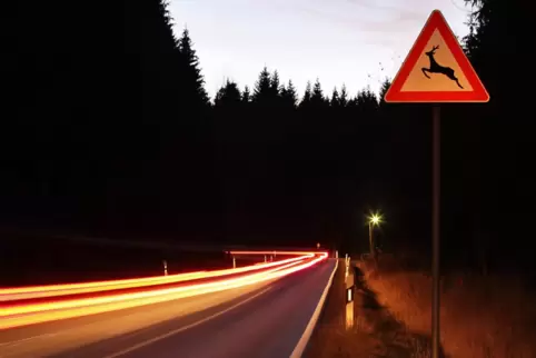 Der Autofahrer gab an, wegen eines über die Straße rennenden Rehs ausgewichen zu sein. An seinem Wagen mit Totalschaden fanden s