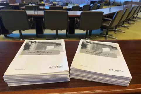 Von der Finanzaufsicht abgelehnt: der Ludwigshafener Haushaltsentwurf.