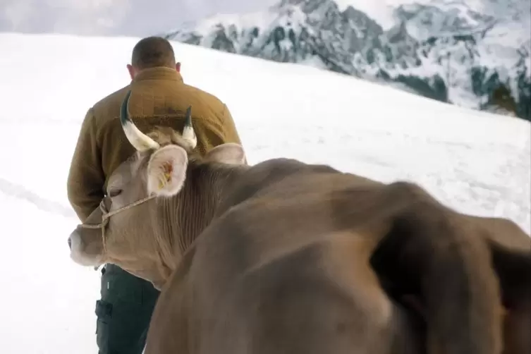 Erlebt erst eine große Liebe, dann eine schwere Krankheit: Bergbauer Marco (Simon Wisler) in „Drii Winter“ (Schweiz/Deutschland)