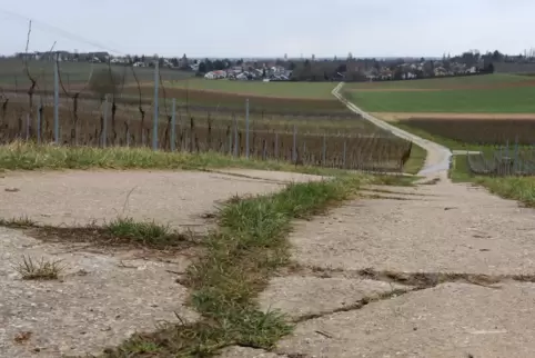 Etwa zehn Prozent der Feldwege könnten Fahrradstraßen werden. Ausbau und Pflege würde die Stadt übernehmen. 